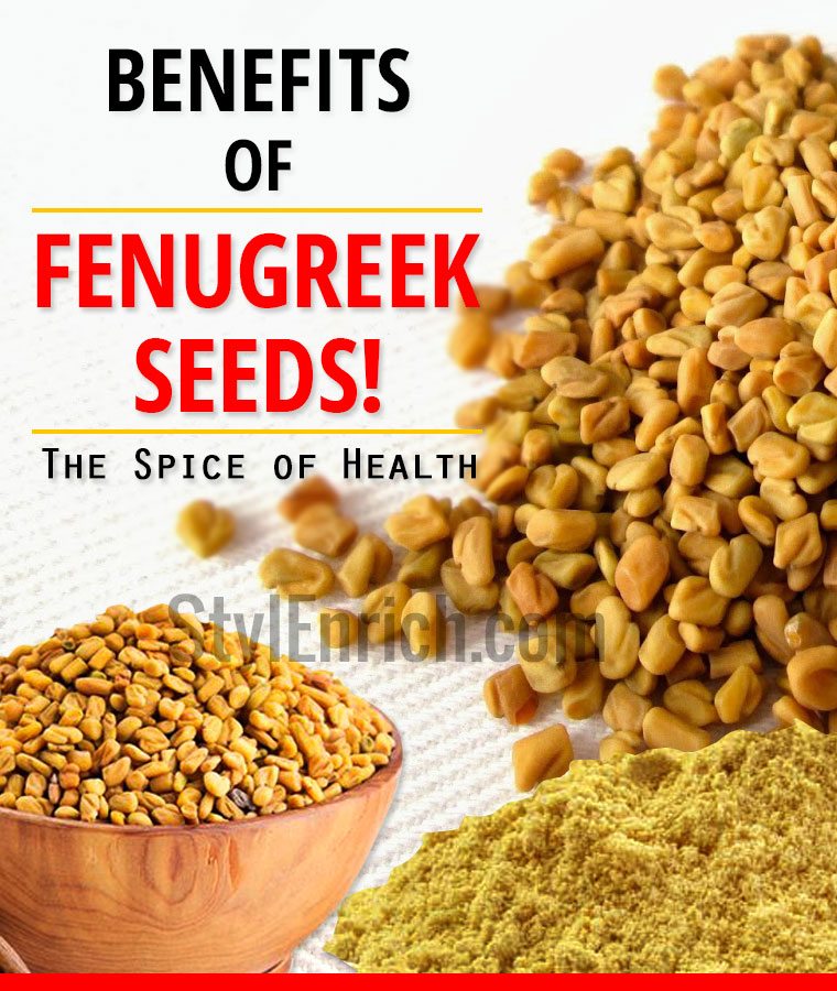 Fenugreek Seeds Benefits The Spice Of Health Stylenrich