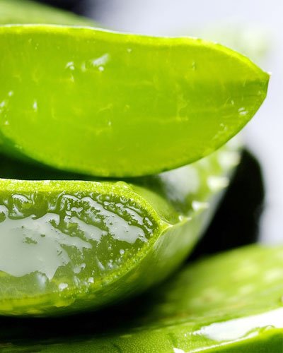 Aloe Vera Leave-in Conditioner