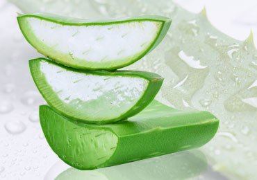 Aloe vera Benefits for Skin