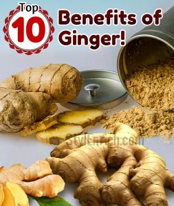 Benefits of Ginger and It's Medicinal Uses That You Won't Believe!