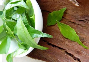 Curry Leaves Benefits