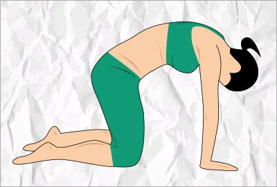 Cat yoga pose for lower back pain