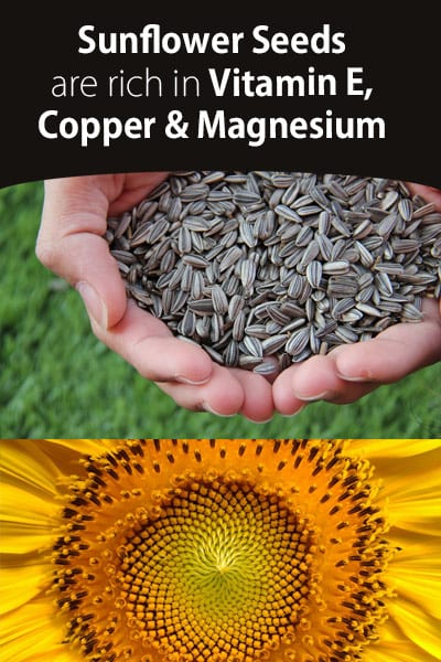 Sunflower Seeds Health Benefits