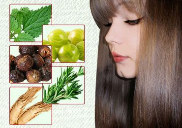 10 Best Herbs for Hair Growth