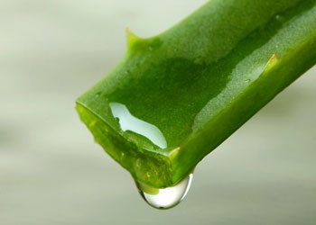 Aloevera-home-remedies-for-wrinkles-on-face