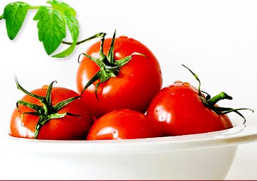 Tomato Nutrition