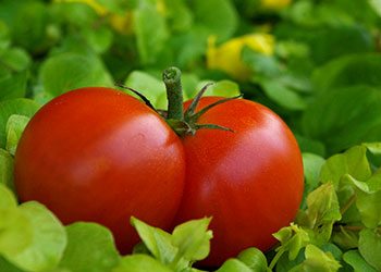 Tomatoes-home-remedies-for-wrinkles-on-face