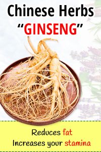 The Role of IoT in Chronic Disease Management: Enhancing Patient Care