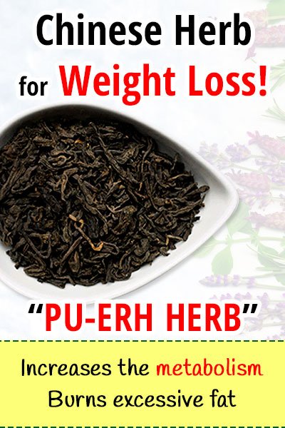 The Pu-erh Herb For Weight Loss