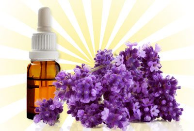 Lavender-oil-for-hair-growth