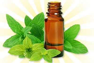 Peppermint-oil-for-hair-growth