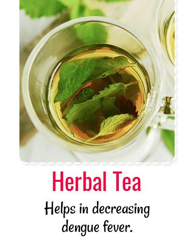 Herbal Tea For Dengue Treatment