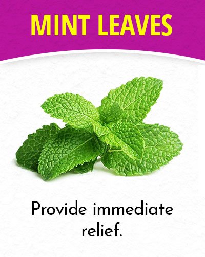 Mint Leaves for Migraines