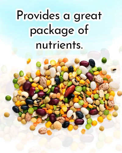 Beans for Antioxidants