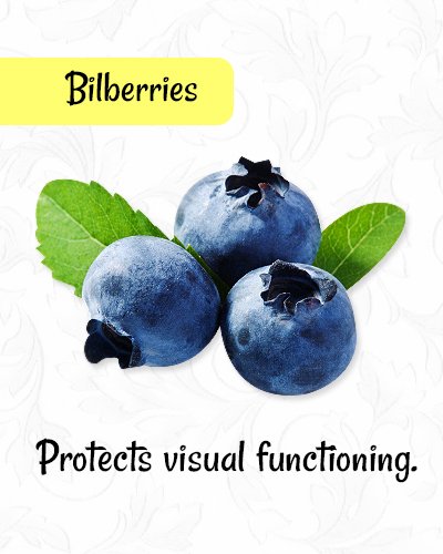 Bilberries for Healthy Eyes