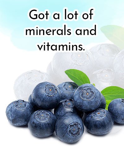 Blueberries for Antioxidants