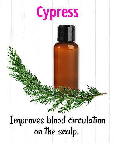 Cypress for Hair Loss