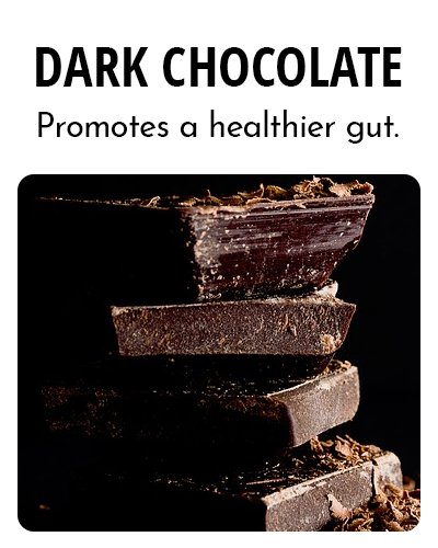 Dark Chocolate Probiotics Benefits