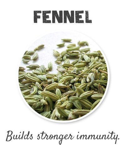 Fennel for Joint Pain