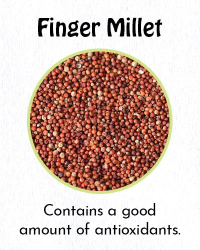 Finger Millet