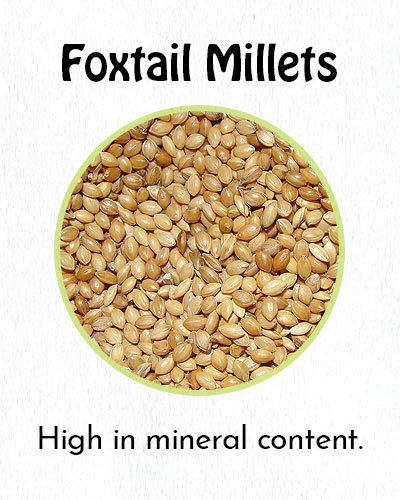 Foxtail Millets