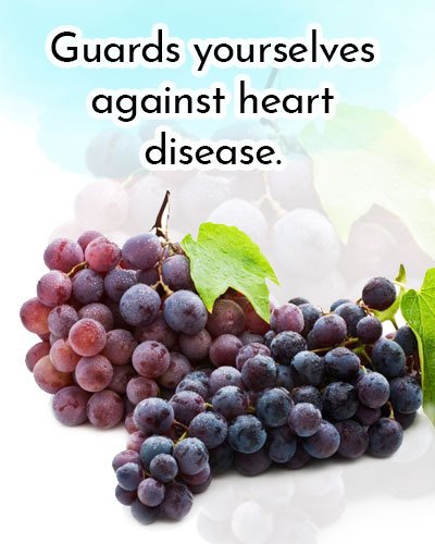 Red Grapes for Antioxidants