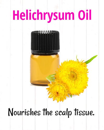 Helichrysum Oil for Hair Loss