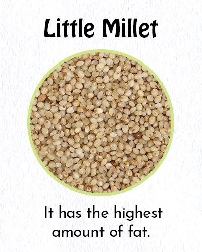 Little Millet