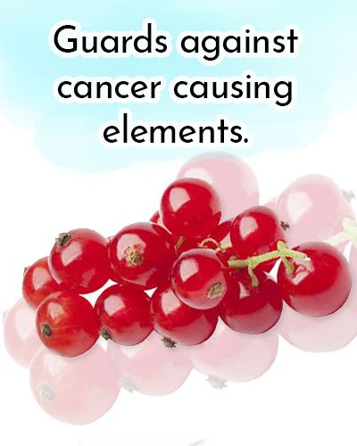 Red Berries for Antioxidants