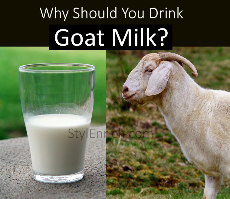 Goat Milk Benefits for Skin, Hair and Health; Be strong beautiful and healthy