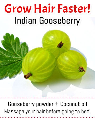 Indian Gooseberry for Hair Regrowth