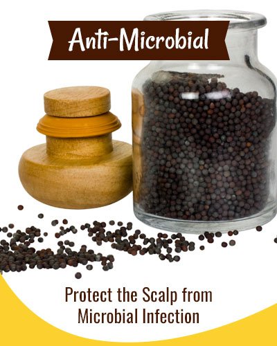 Anti-microbial Mustard Hair Mask