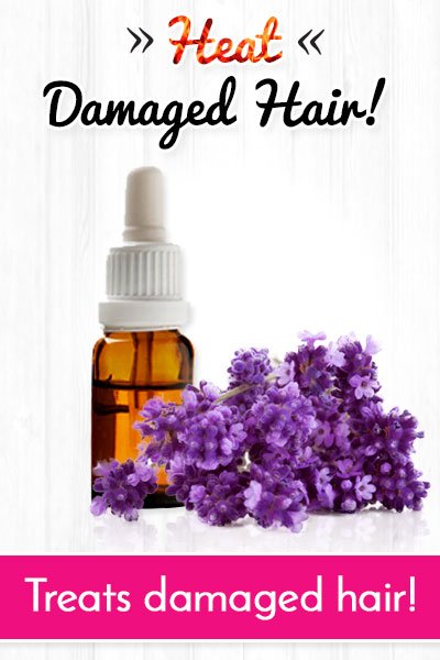 Botanical Oils to Repair Heat Damaged Hair