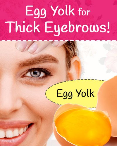 Egg Yolk for Eyebrows