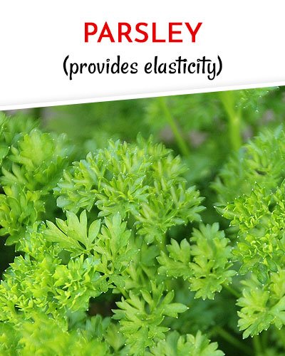 Parsley to Get Rid of Varicose Veins