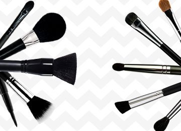 Makeup Brushes Guide