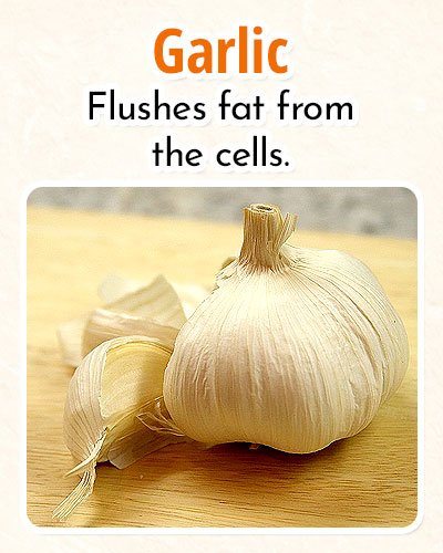 Garlic For Burning Fat