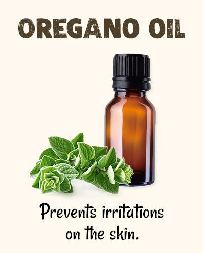 Oregano Oil for Toenail Fungus