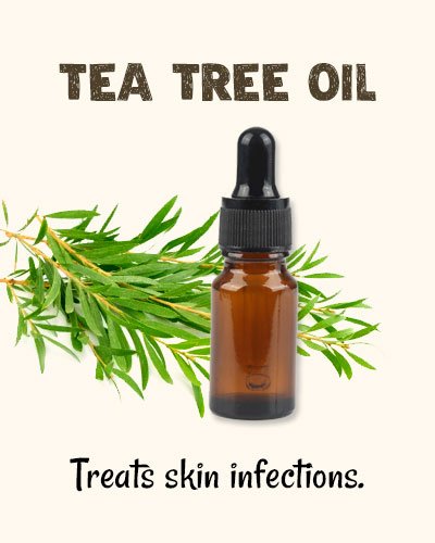 Tea Tree Oil for Toenail Fungus