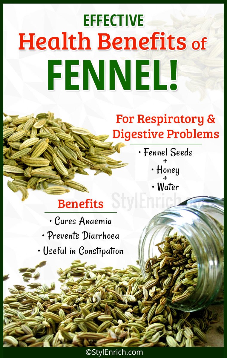 Fennel Seed Benefits How Fennel Can be Effective for Respiratory and