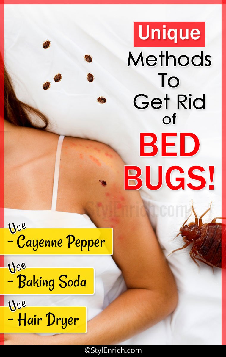 How To Get Rid of Bed Bugs?