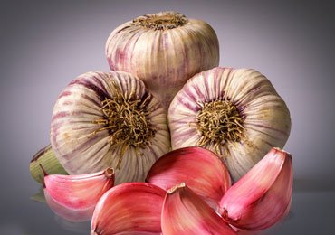 Amazing health benefits of garlic for weight loss