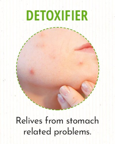 Natural Detoxifier