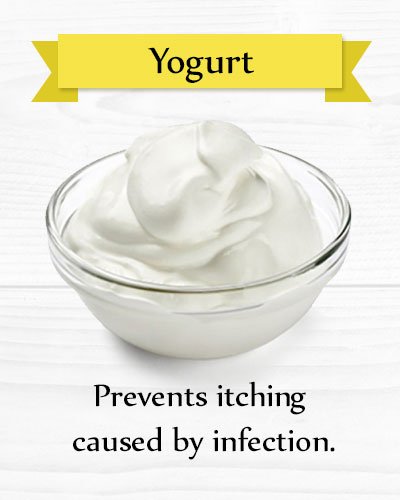 Yogurt for Yeast Infection