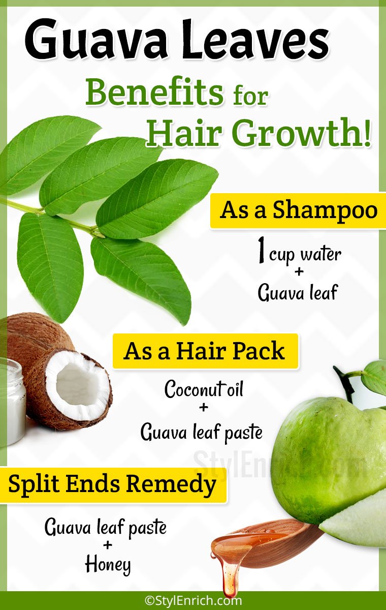 Guava Leaves for Hair Growth