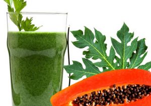 How Papaya leaves Juice is Beneficial for Healthy Life?