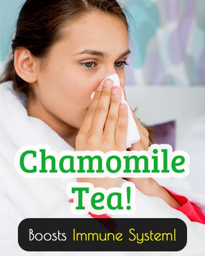 El té de manzanilla refuerza el sistema inmunitario