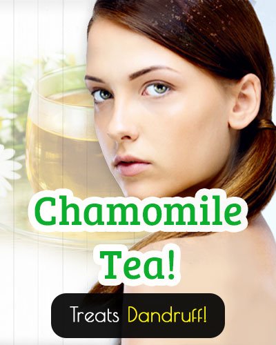Chamomile Tea Treatment From Dandruff