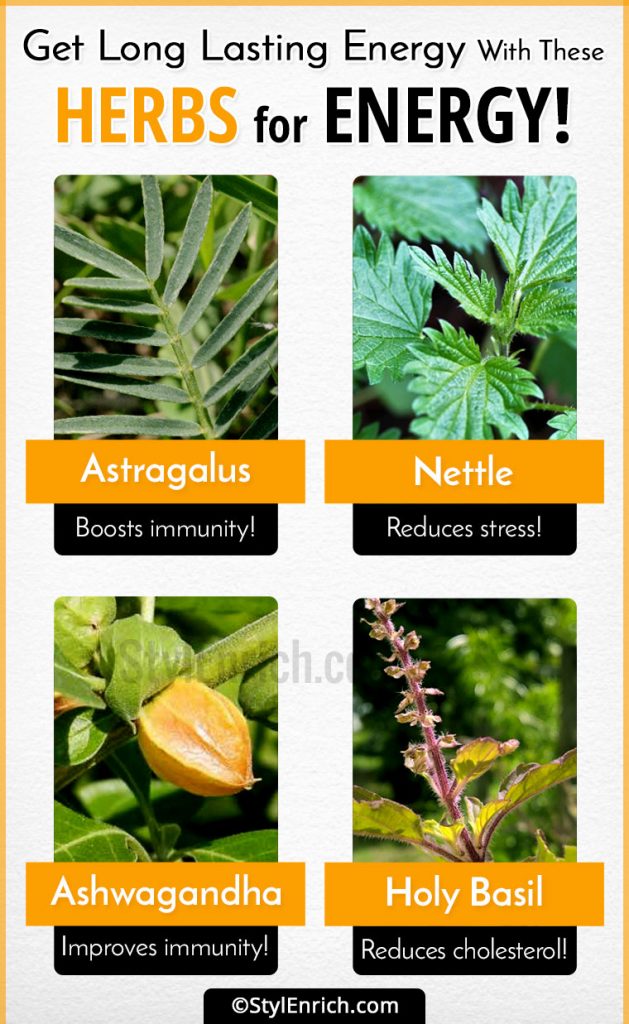 Herbs For Energy Get LongLasting Energy With These Organic Herbs!