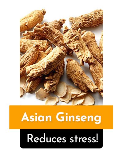 Asian Ginseng Herb For Energy